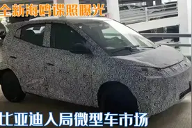 比亚迪入局微型车市场！全新海鸥谍照曝光，定价10万内会火吗？图片