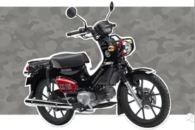 终于它还是来了！本田幼兽110亮相工信部图片