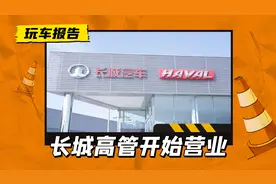 长城17位高管入驻社交媒体，汽车圈还有哪些老板亲自下场“营业”图片
