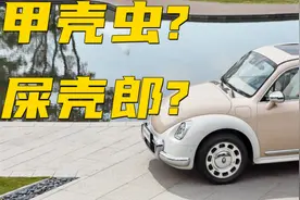 听车场丨欧拉芭蕾猫是致敬了甲壳虫，还是变成了屎壳郎？图片
