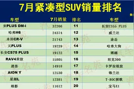 令人心酸！7月紧凑型SUV销量排名：逍客第七，CS55、博越未入前十图片