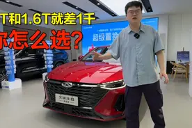买 2.0T 再也不用和爸妈磨碎嘴皮，艾瑞泽 8 高能版 10 万落地视频封面