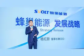 蜂巢能源：怎么活下去？图片