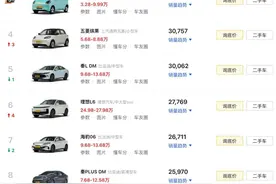 12月新能源汽车销量榜TOP10：比亚迪独占5款，小米SU7挤进前十图片