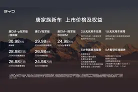 24.98-30.98 万元，比亚迪唐EV/DM-i/DM-p全员上新图片