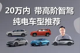预算20万以内,带高阶智驾功能,纯电车型推荐视频封面