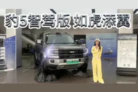 方程豹豹5智驾版，有华为乾崑ADS加持才是如虎添翼！