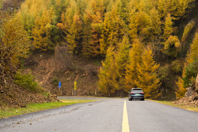 黑？粉？只在一程山水间