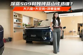 大六座+大空间+鸿蒙座舱 深蓝S09和魏牌蓝山该选谁？