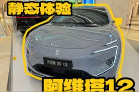 30万以上的阿维塔12，设计出圈，是否太过小众图片