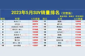 太惨！5月SUV销量榜：1-301名，途观L第11，瑞虎8第22，博越第41图片