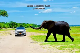 一女孩一车绕地球一圈，把自主SUV快递到非洲，非洲老乡惊呆了！图片