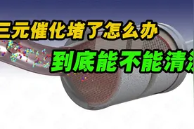 三元催化被堵只能换吗？能不能清洗？视频封面