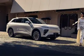 不用等明年7月？这4款电车提前满足电池新国标，可放心买！图片