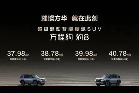 豹8登场，最紧张的不是长城坦克，而是它们图片