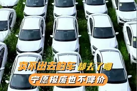 卖不出去的车都去了哪？实话告诉你，宁愿报废也不会低价卖视频封面