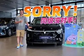 是实力还是吹嘘，到店看看全新岚图知音，25万内没一个能打？