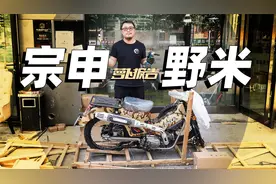 国内首批野米开箱报告｜照摩镜视频封面