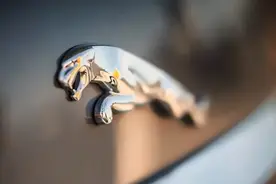 6月起，它停产所有燃油车？图片