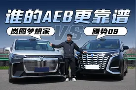 岚图梦想家和腾势D9再对比 这次看看谁的AEB更靠谱视频封面