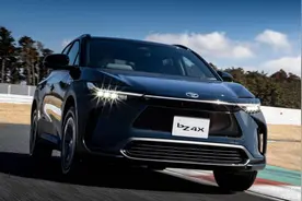 从“韭菜盒子”到“剁椒鱼头”，这些车的外号，一个比一个更奇葩图片