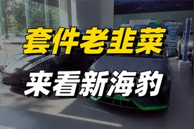 新款海豹EV，都有哪些升级和变化？视频封面