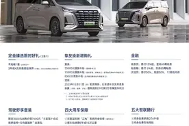 腾势D9 10月最新购车权益图片