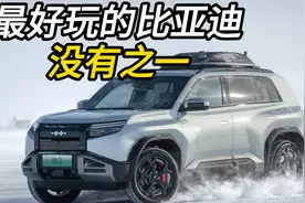 方程豹钛3是最好玩的比亚迪，没有之一？视频封面