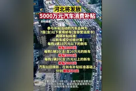 与家用轿车同等对待 河北发放购车补贴 特别提及皮卡图片