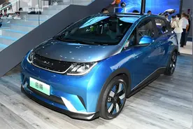 比亚迪海豚年养车6千元，其中2/3是保费，专属保险很贵？图片