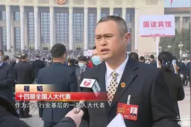 【两会声音】江淮程韬：建议皮卡报废与年检和小型载客汽车相同图片