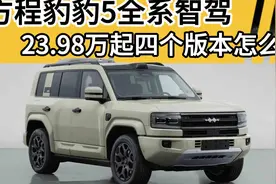 方程豹豹5智驾版上市，天神之眼与华为智驾，选哪个版本更值？视频封面