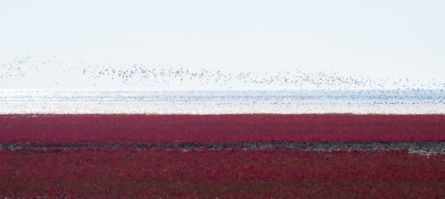 黑？粉？只在一程山水间