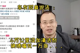 车友现身说法 ：6万公里没加清洁剂，换喷嘴花一万多......图片