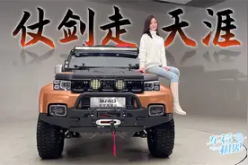 车若初见：仗剑走天涯 实拍BJ40可可西里视频封面