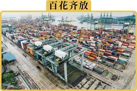 国产车在国外卖的怎么样？图片