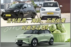 吉利星愿、比亚迪海鸥、五菱缤果三个车型究竟选哪个？图片