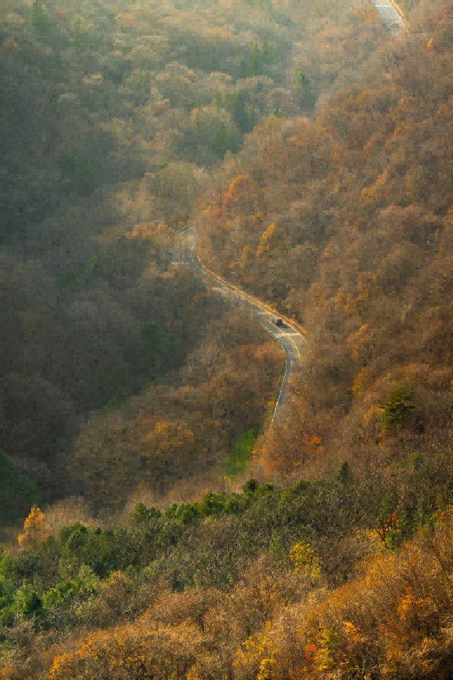 黑？粉？只在一程山水间