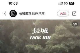 老头乐还是小型硬派越野  坦克100绝对有市场图片