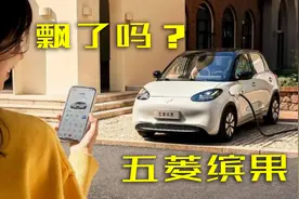 ESC版的五菱缤果，续航降了，价格上涨，飘了吗？图片