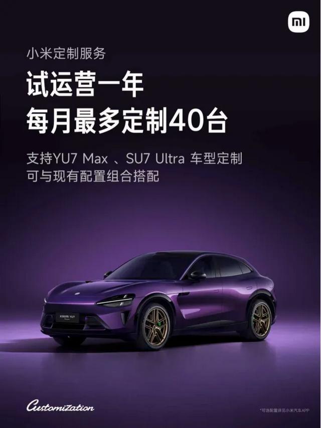 小米汽车都有哪些定制项目