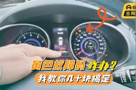 车子仪表盘出现一堆黄色故障码，我教你正确处理，几十块搞定视频封面