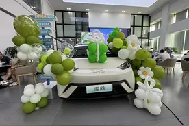看了两天决定  购买2025款海鸥图片