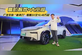 高阶智驾+大空间，广汽丰田“新势力”铂智3X仅需10.48万元起视频封面