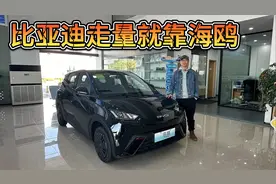 价格便宜，比亚迪走量就靠它！低配海鸥够用吗？