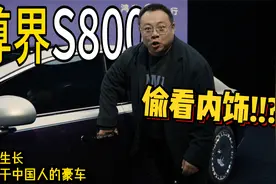 逆境生长，我们自己的超豪华轿车，尊界S800，比劳斯莱斯还豪华视频封面