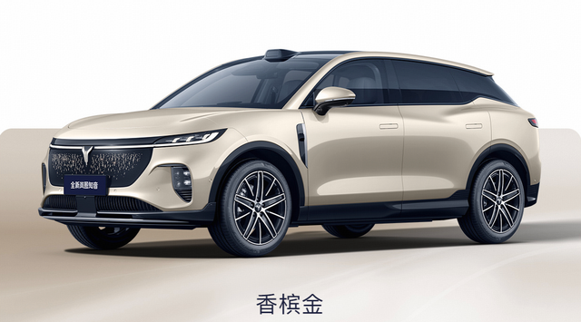 新款岚图知音量产下线