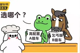 买车，鸡头和凤尾怎么选？高配A级车和低配B级车怎么选？图片