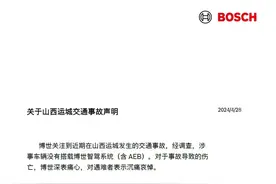 博世否认后，“刹不住”该怪谁？图片