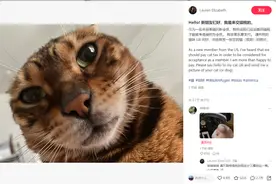 外国人在小红书看世界，被中国电动车震惊一百年图片